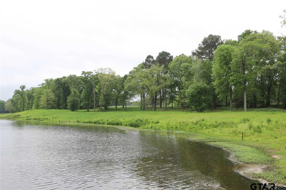 15791 County Road 285, Tyler, TX 75707 - photo 1