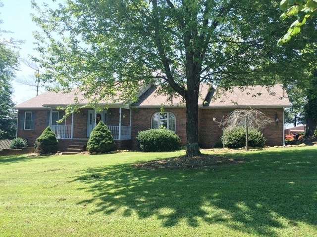 Main View