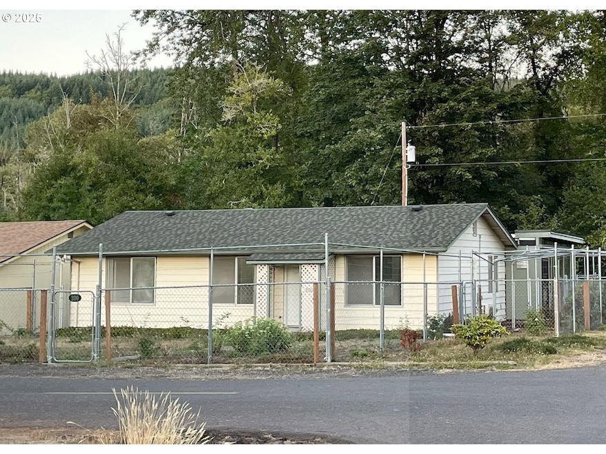 200 Madison St, Ryderwood, WA 98581 - photo 1