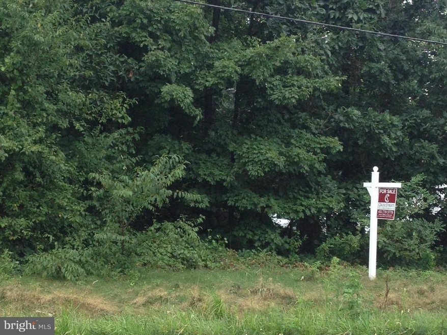 0 Chestertown Rd unit 1000083663, Chestertown, MD 21620 - photo 1