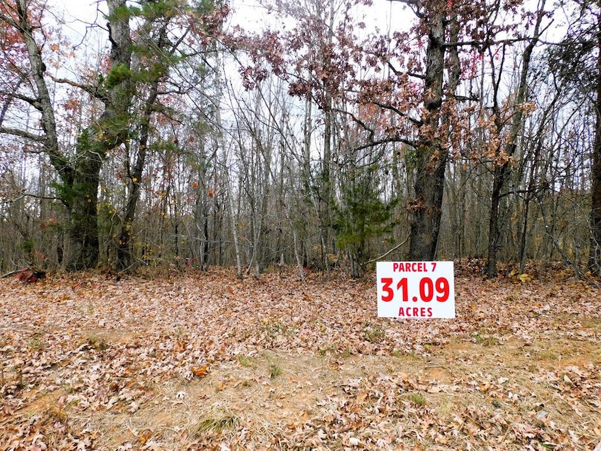 31.09 Ac Brights Rd, Gretna, VA 24557 - photo 1