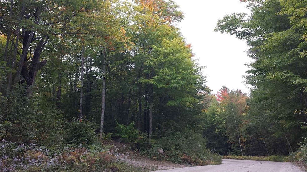 840 Kinsman Rd, Grafton, NH 03240 - photo 1