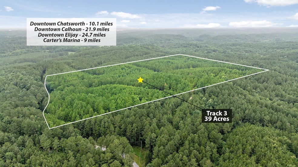 Tract 3 Conniston Rd, Chatsworth, GA 30705 - photo 1