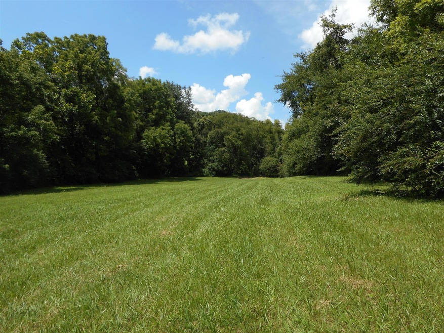 Lot 3 offers total privacy with 58 FT of road frontage! 4 bedroom approved. 