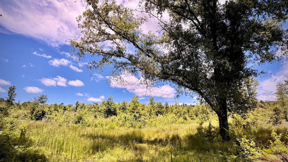 Cook Rd, Lillie, LA 71256 - photo 1