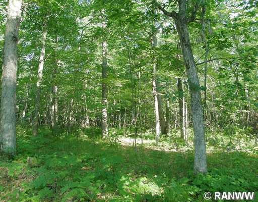 Lot 14 Spotted Fawn Dr, Jackson, WI 54830 - photo 1