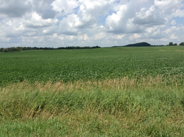 44+Acres Hwy E Town of Hartford