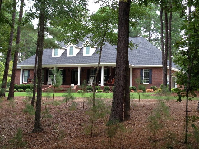 Main View