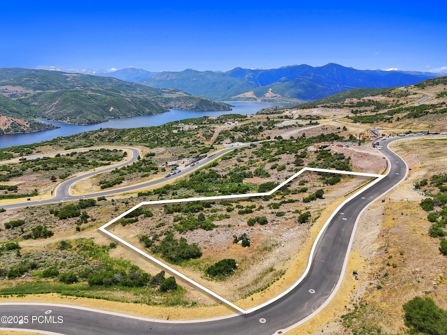DJI_20250625130006_0041_D-Line_a