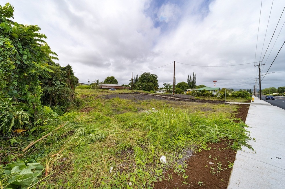 3405 Alohanani Place, Hilo, HI 96720 - photo 1