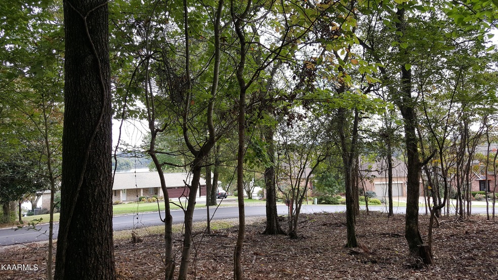 Lakeview Homesite