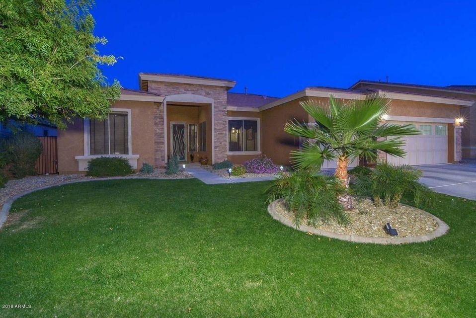 Palm Valley Oasis