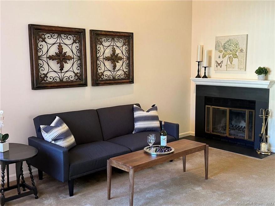 46 Natureview Trail, Bethel, CT 06801 - photo 1