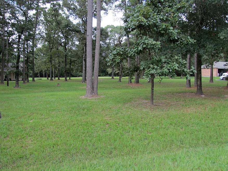 Lot 6 Ridgewood Dr, Magnolia, TX 77355 - photo 1