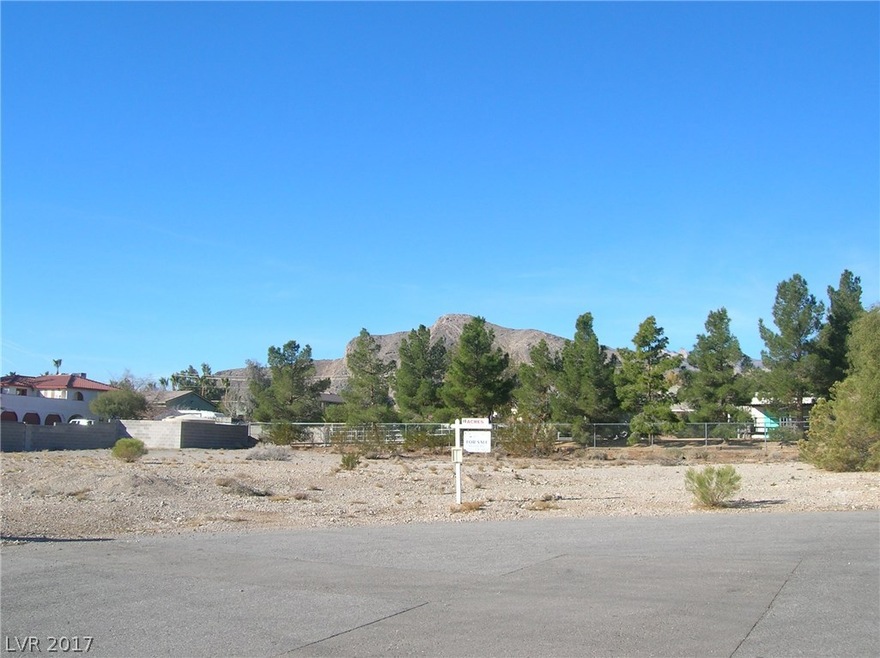 Nice Level 1/2 Acre Culdesac Lot on Community Well