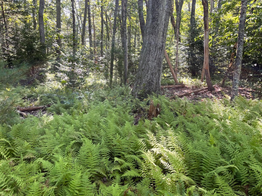 38E Maine 32, Round Pond, ME 04564 - photo 1