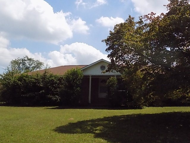 Main View