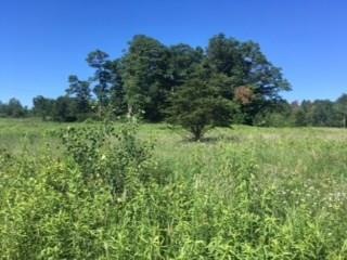 XXX Cty C Rd, Webster, WI 54893 - photo 1