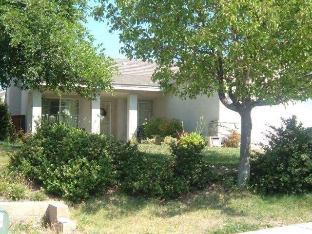 Established neighborhoods have shade trees.