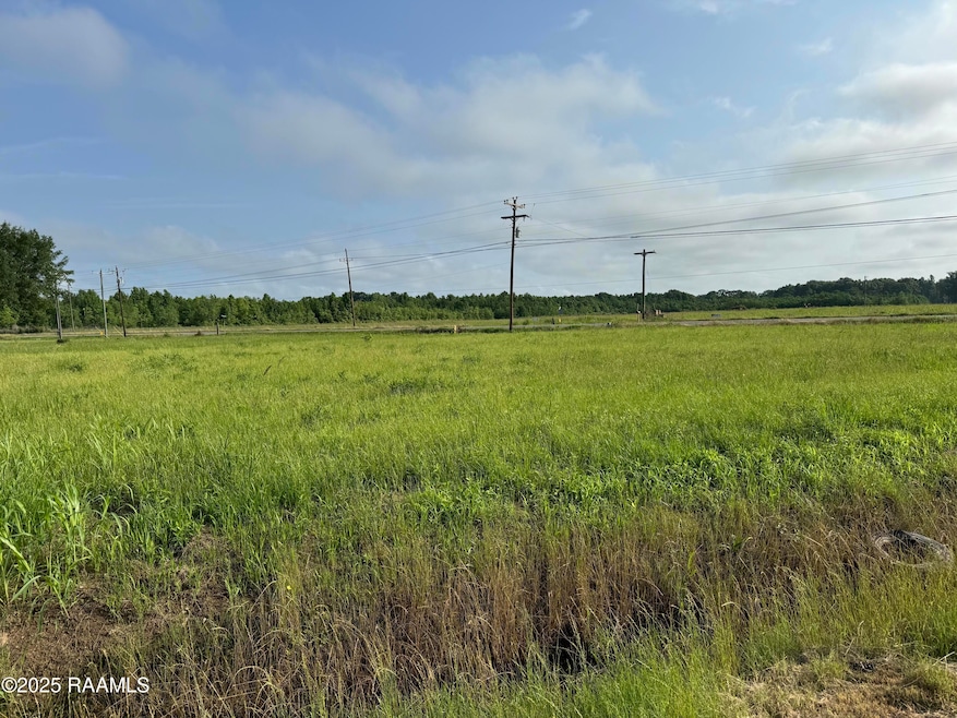 0 Harold St unit 1b/3 2500000205, Opelousas, LA 70570 - photo 1