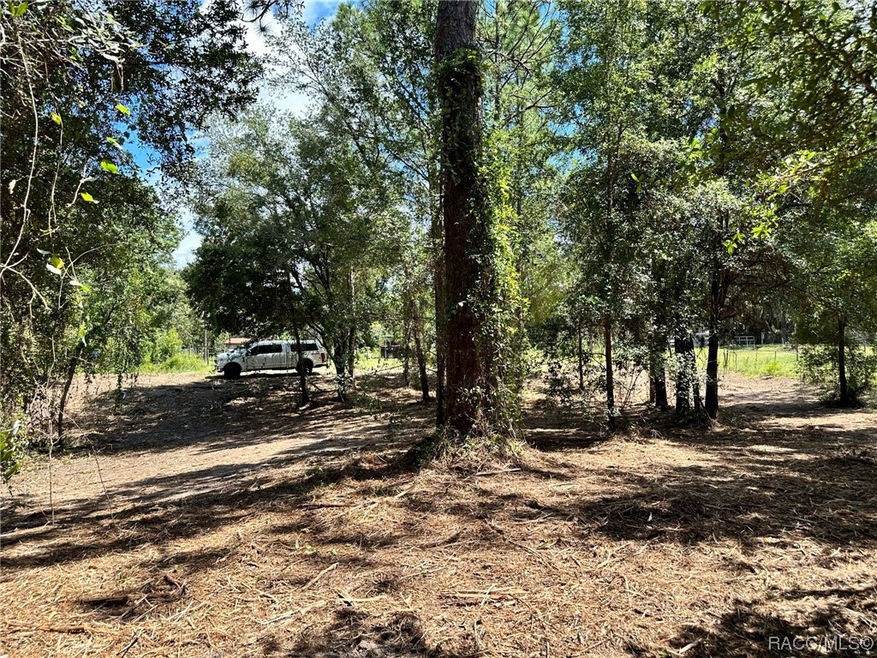 3190 N Chameleon Point, Crystal River, FL 34428 - photo 1