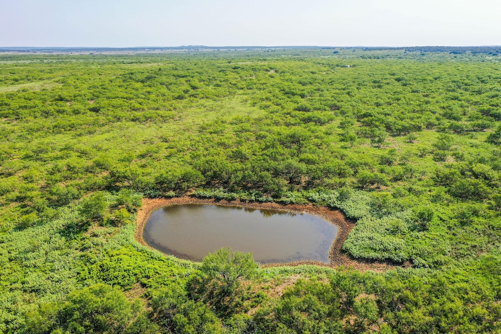 262.71 Acres unit FM 1191, Jermyn, TX 76459 - photo 1