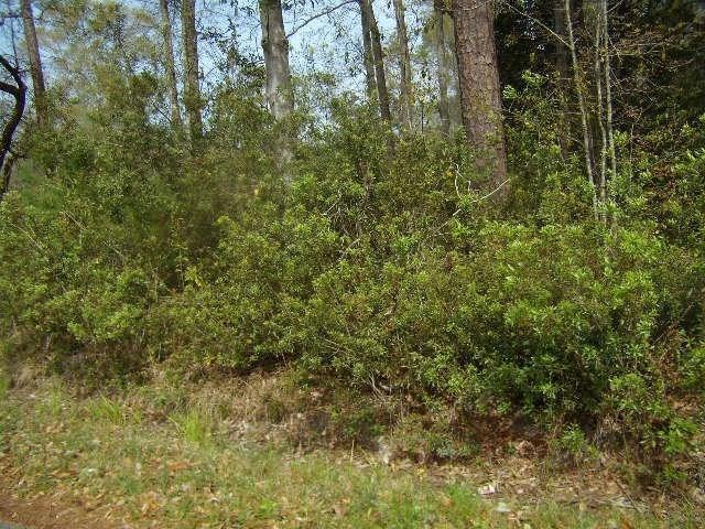 LOT 70 Hermina St, Slidell, LA 70460 - photo 1