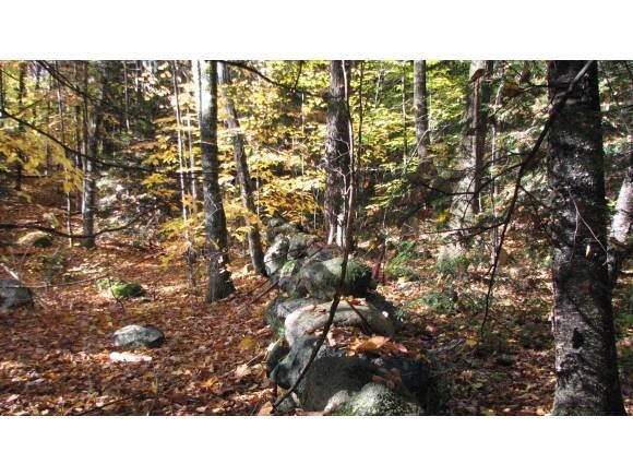 0 Green Hill Rd, Center Conway, NH 03813 - photo 1