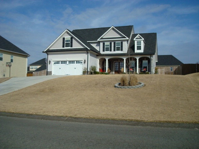 Main View