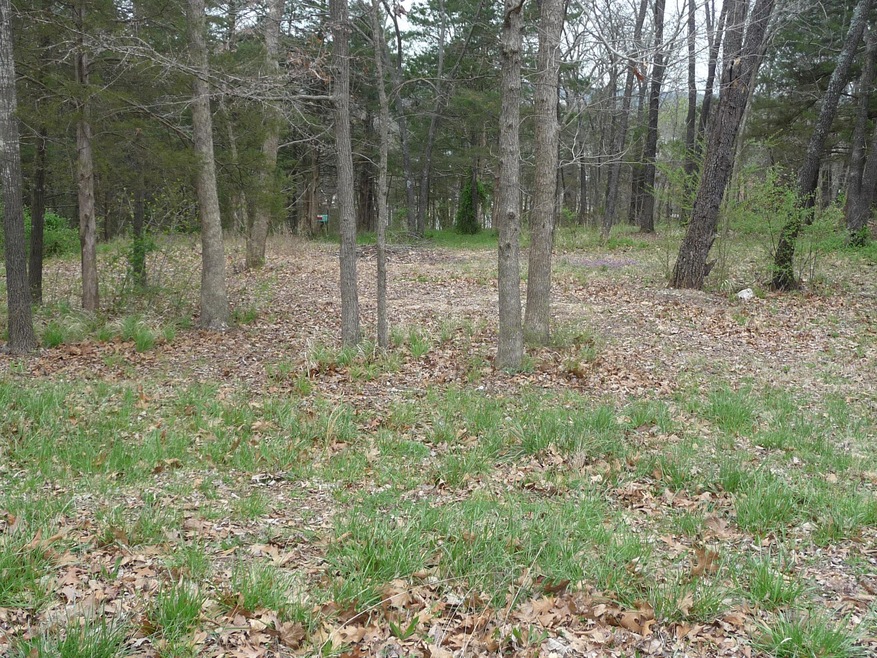 Tbd Bonanza Dr, Ruth B Rural Township, MO 65686 - photo 1