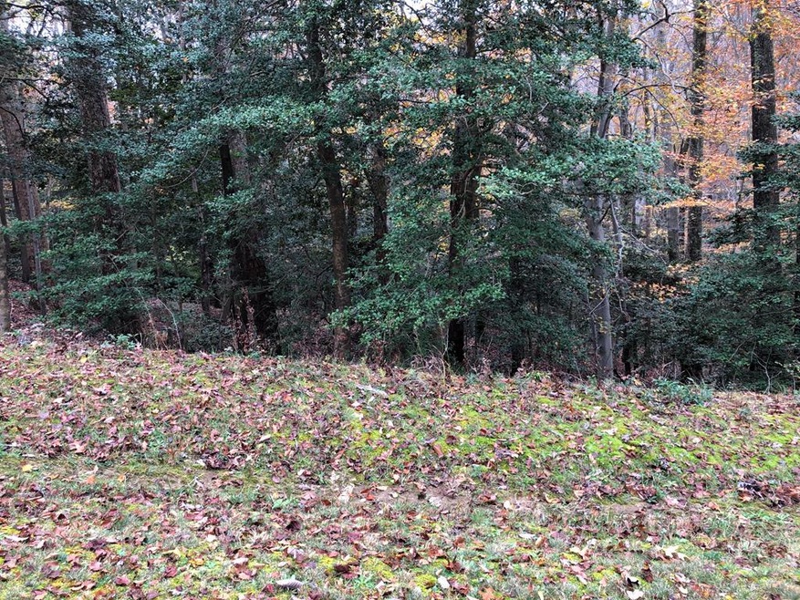 LOT 100 Memory Ln, Montross, VA 22520 - photo 1