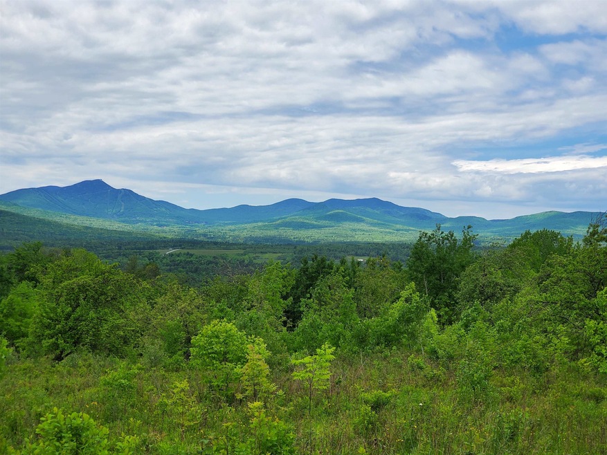 00 Bergeron Rd unit 1, North Troy, VT 05859 - photo 1