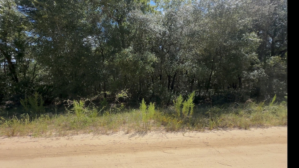 0 Cordell Ave unit 25061108, Interlachen, FL 32148 - photo 1