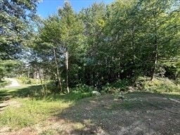 Lot 4 Brimfield Rd, Warren, MA 01083 - photo 1