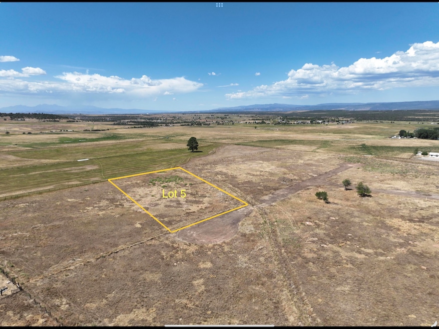 115 S Oro Place, Norwood, CO 81423 - photo 1