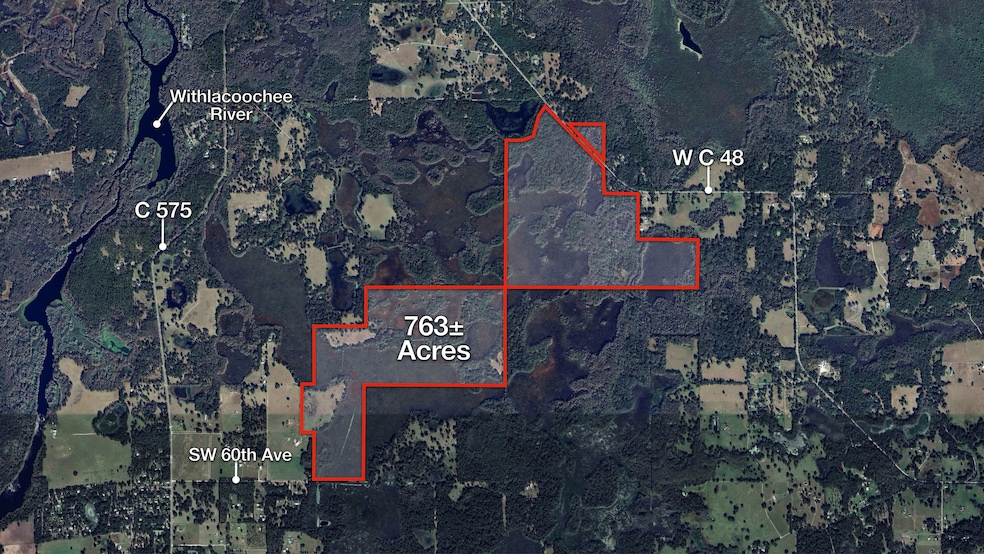 W C 48, Bushnell, FL 33513 - photo 1