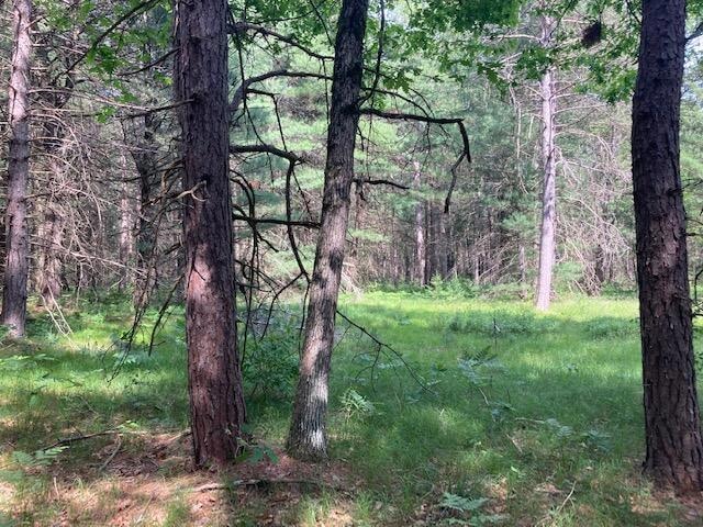 4825 W 8th St, Baldwin, MI 49304 - photo 1