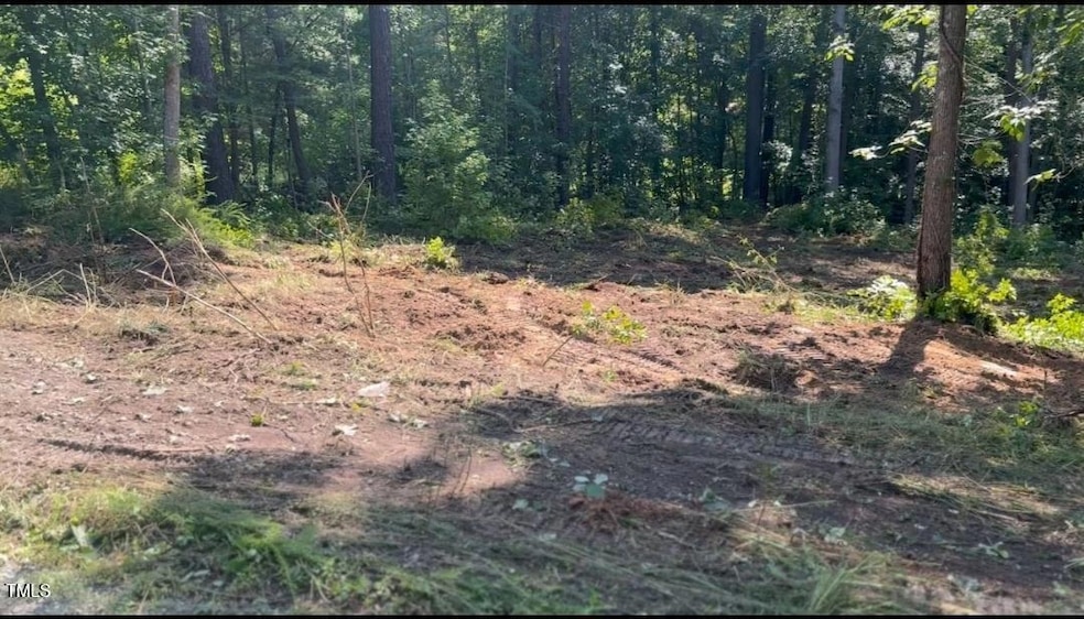 Lot 24 Turtle Hill Ct, Roxboro, NC 27573 - photo 1