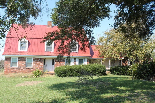 Main View