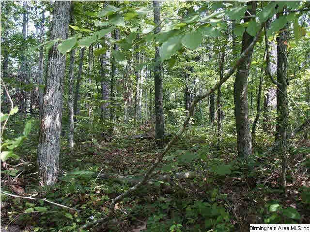 This heavily wooded lot is very peaceful and seclu