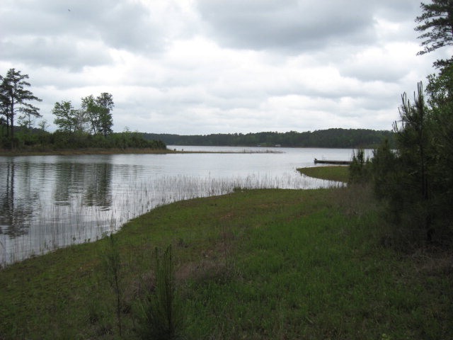 0 Chamberlain Ferry Rd unit 361125, Lincolnton, GA 30817 - photo 1