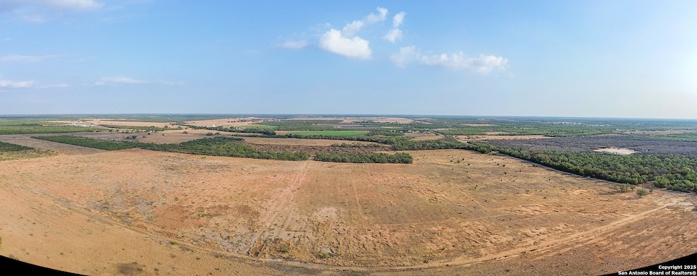 6870 County Road 329 (Tract 1-5), Jourdanton, TX 78026 - photo 1