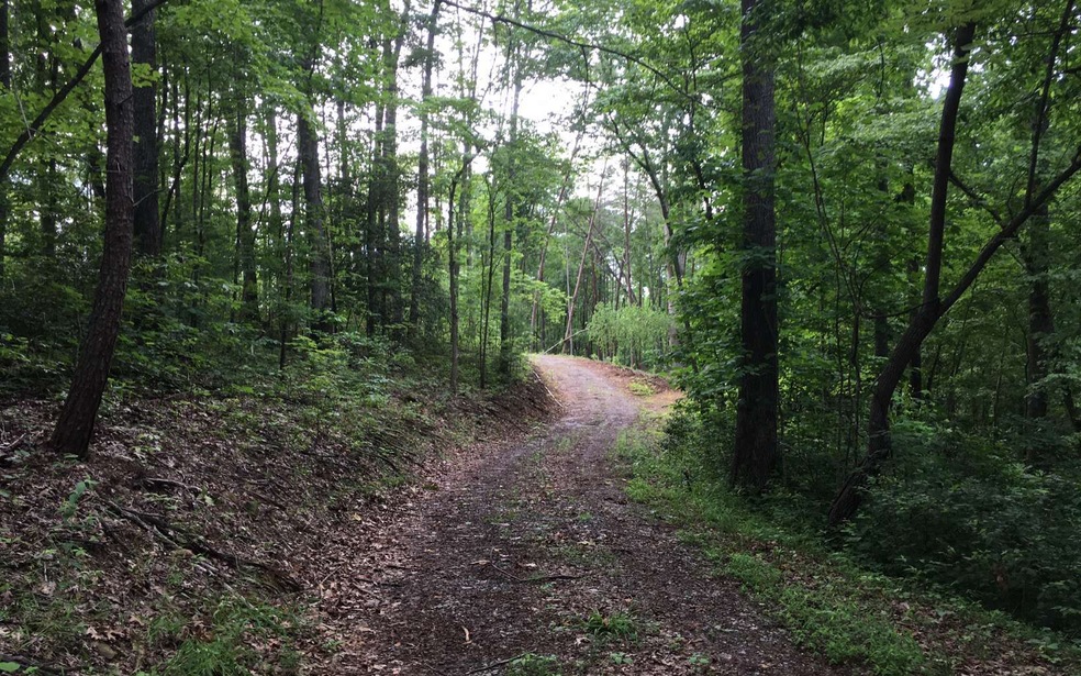 L43 B Mountain Rivers Ln, Mineral Bluff, GA 30559 - photo 1