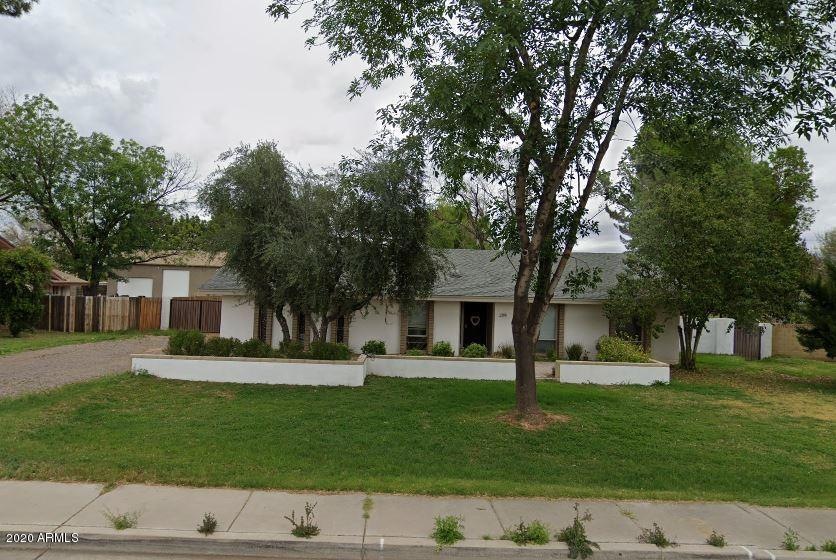 Mesquite