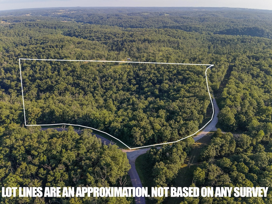 Tbd State Highway Y, Willow Springs, MO 65793 - photo 1