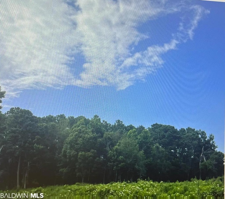 0 Daphne Ave, Daphne, AL 36526 - photo 1