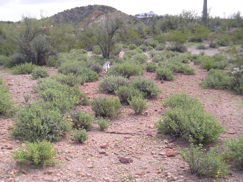 HOUSE SITE ?