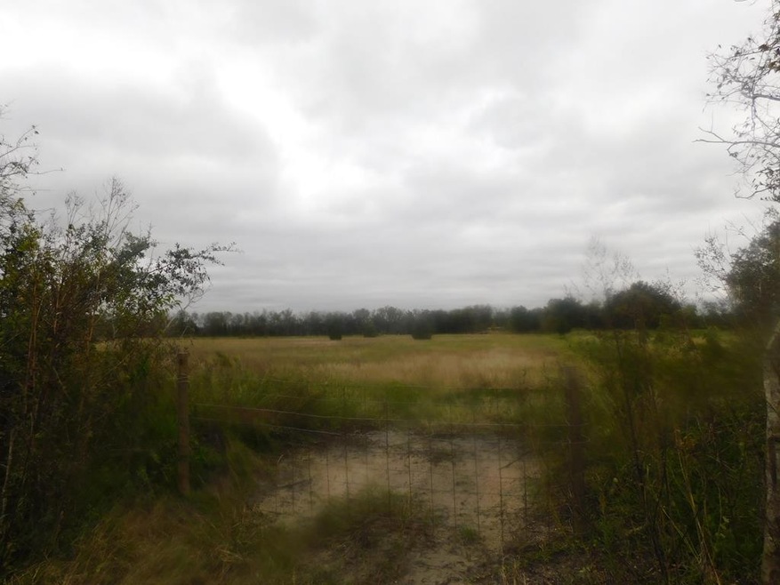 0 Cr 380, Rosharon, TX 77583 - photo 1