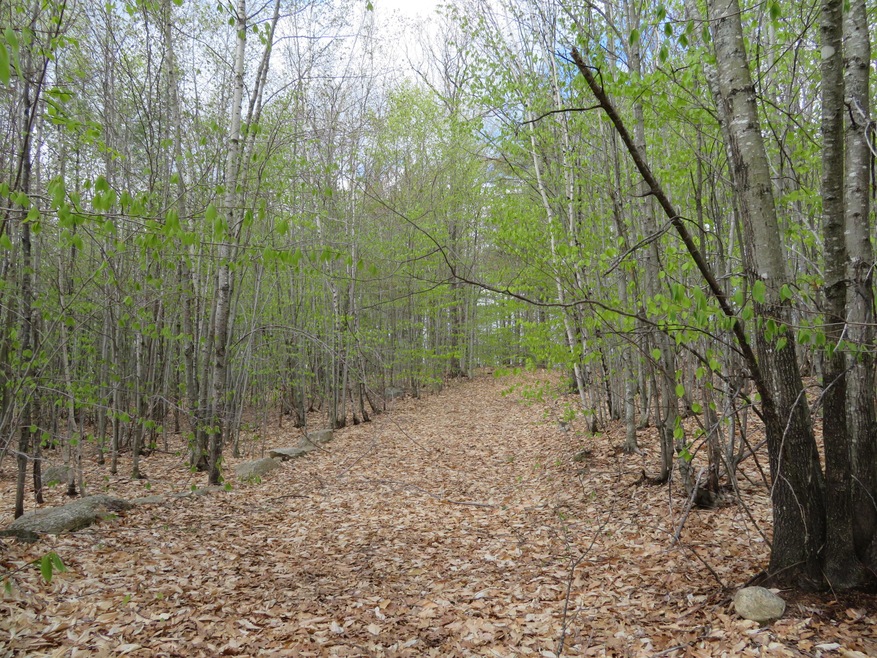 3 A St, Bridgton, ME 04009 - photo 1