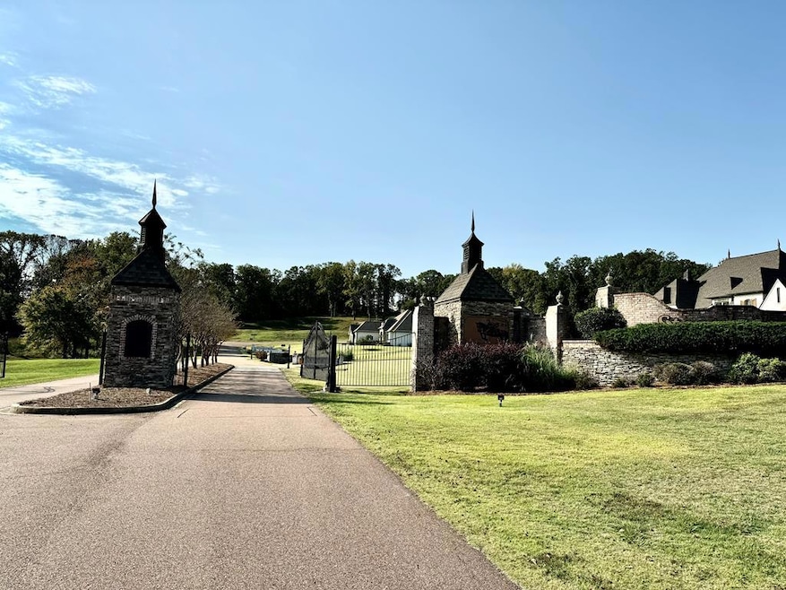 Main View